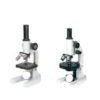 Compound Microscope