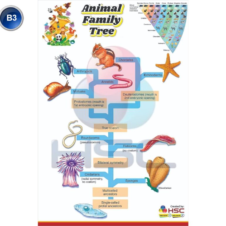 Science Lab charts (2)_page-0005