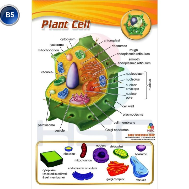 Science Lab charts (2)_page-0007