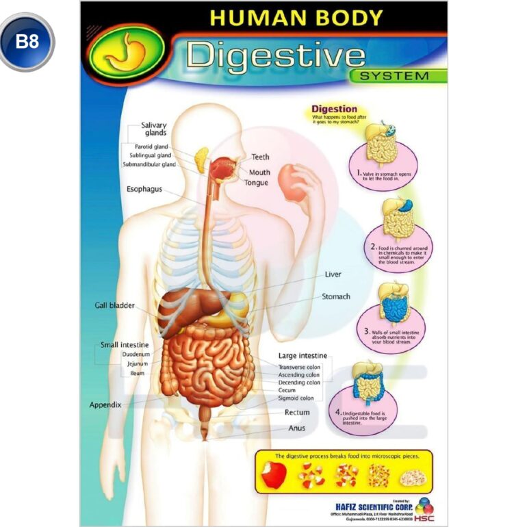 Science Lab charts (2)_page-0010