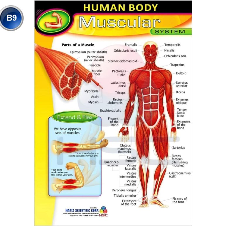 Science Lab charts (2)_page-0011