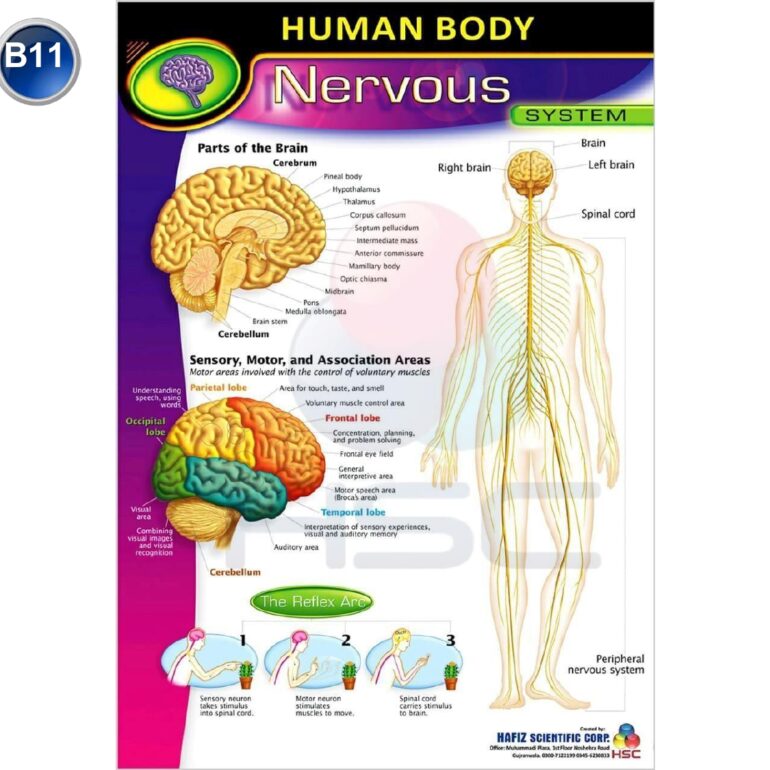 Science Lab charts (2)_page-0013