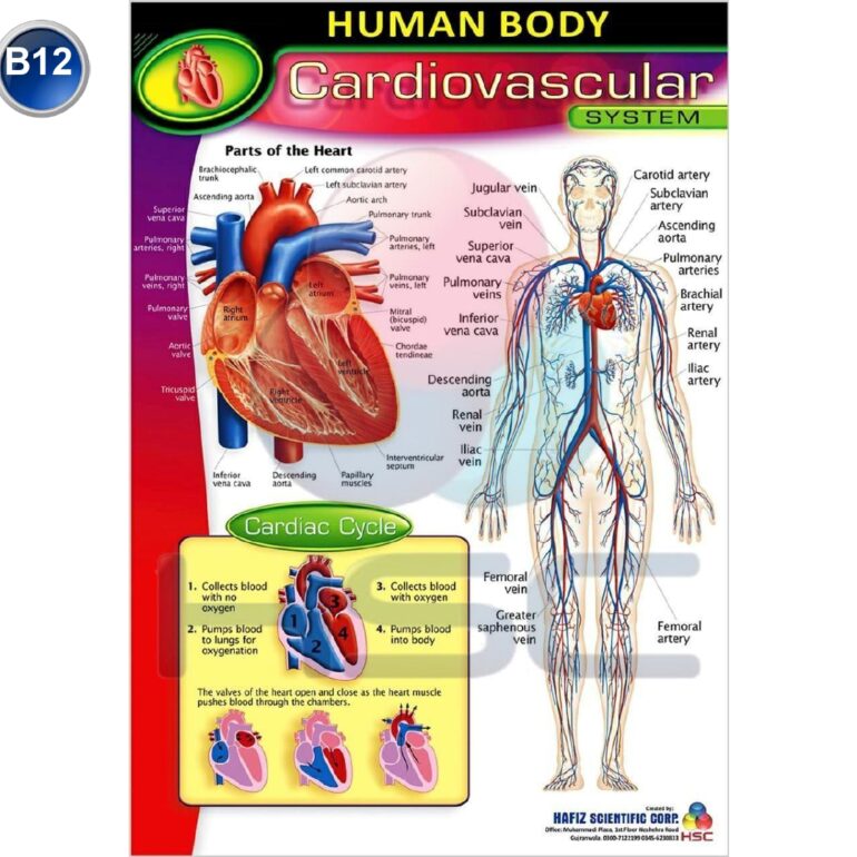 Science Lab charts (2)_page-0014