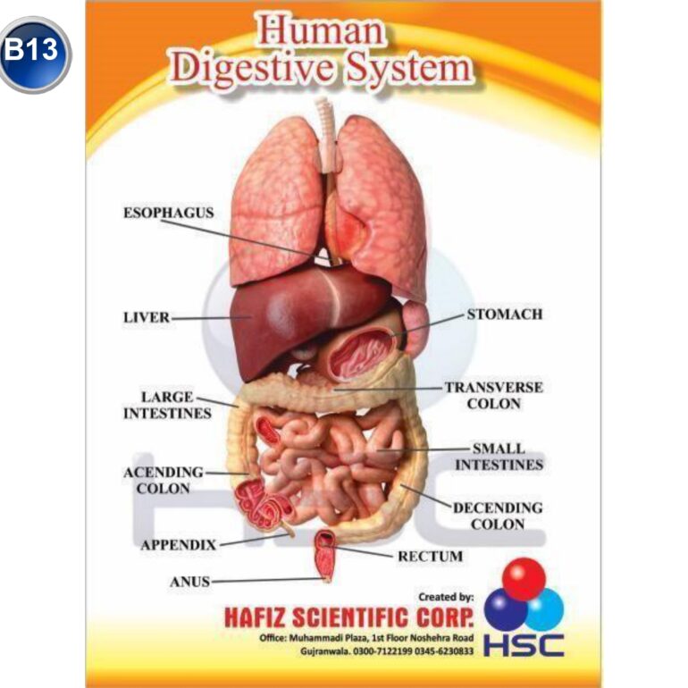 Science Lab charts (2)_page-0015