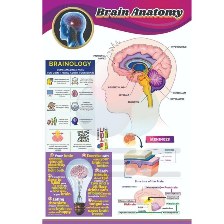 Science Lab charts (2)_page-0016