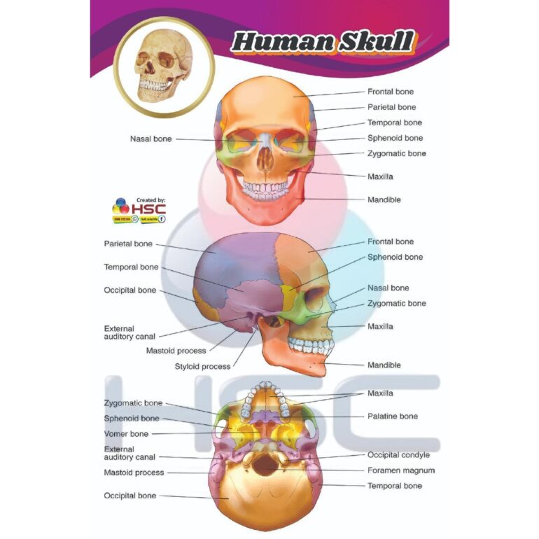 Science Lab charts (2)_page-0019