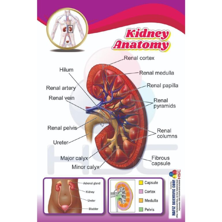 Science Lab charts (2)_page-0020