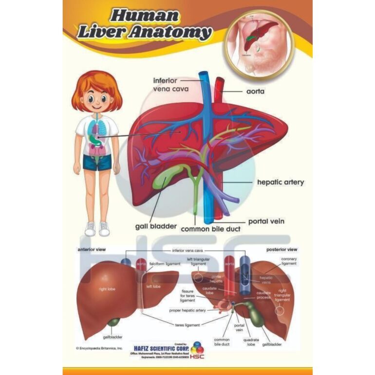 Science Lab charts (2)_page-0021