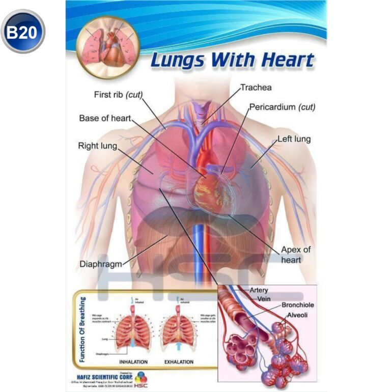 Science Lab charts (2)_page-0022