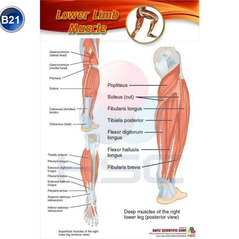 Science Lab charts (2)_page-0023