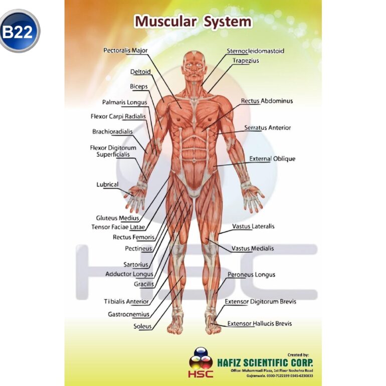 Science Lab charts (2)_page-0024