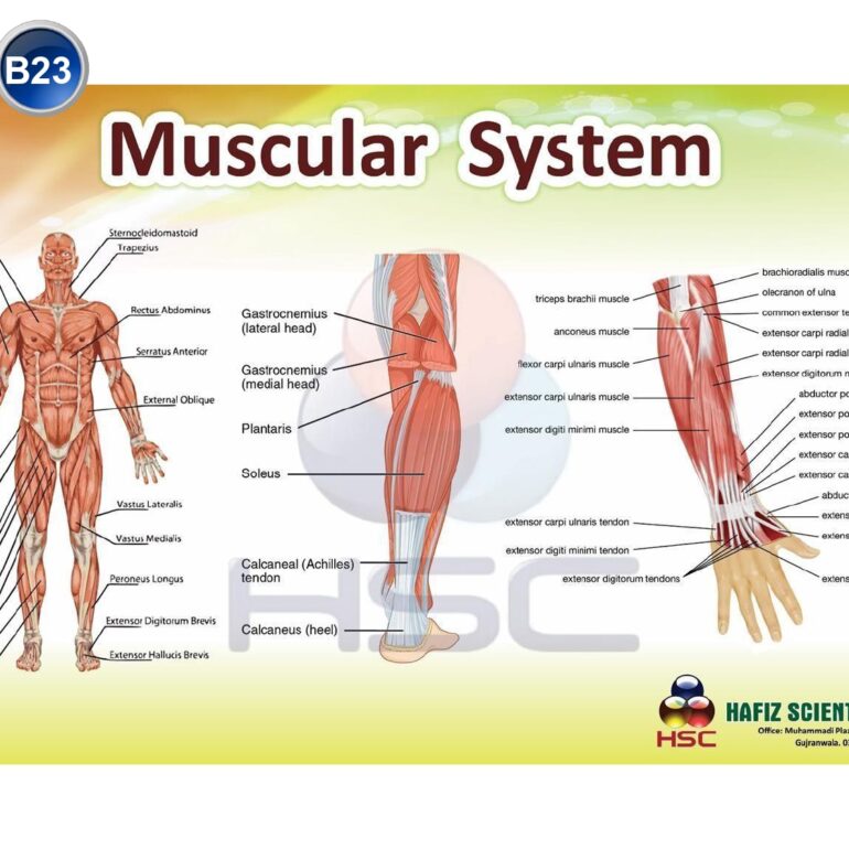 Science Lab charts (2)_page-0025