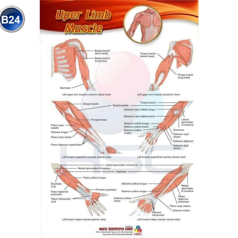 Science Lab charts (2)_page-0026