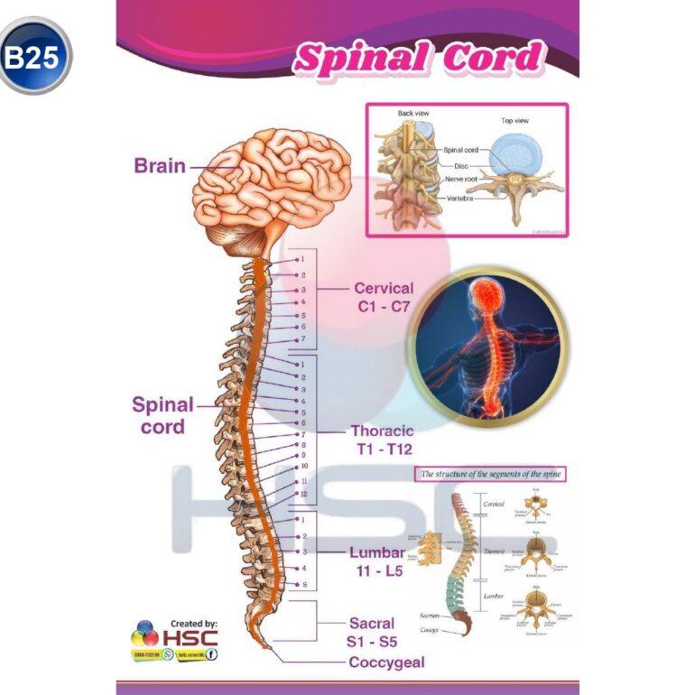 Science Lab charts (2)_page-0027