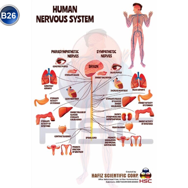 Science Lab charts (2)_page-0028