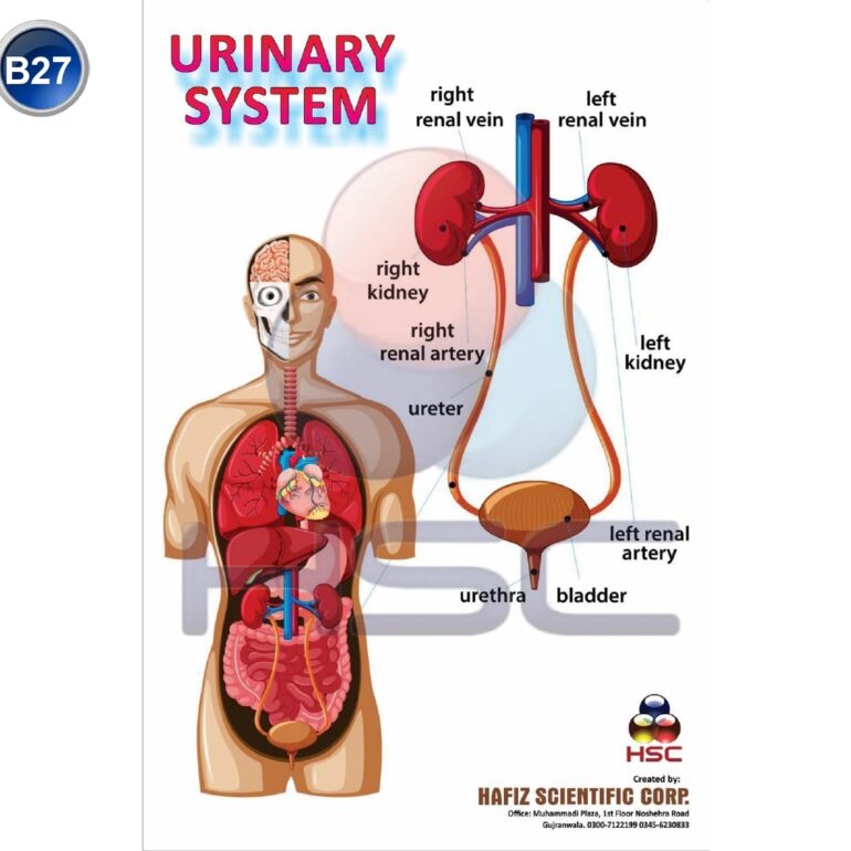 Science Lab charts (2)_page-0029