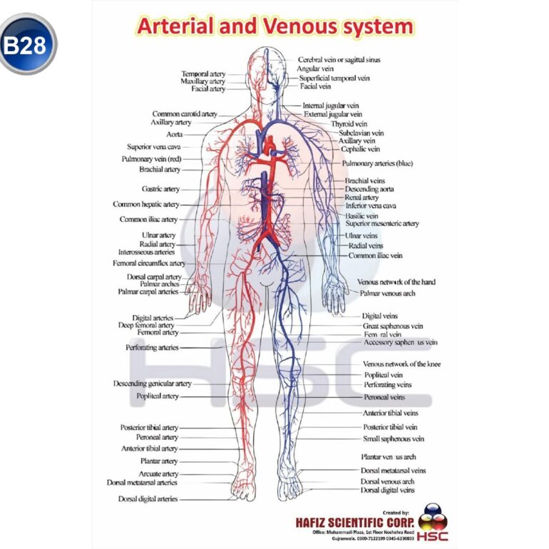 Science Lab charts (2)_page-0030