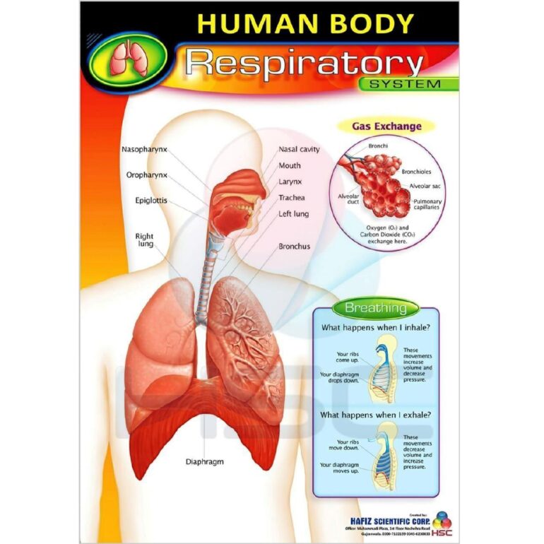 Science Lab charts (2)_page-0032