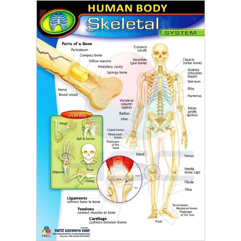 Science Lab charts (2)_page-0035