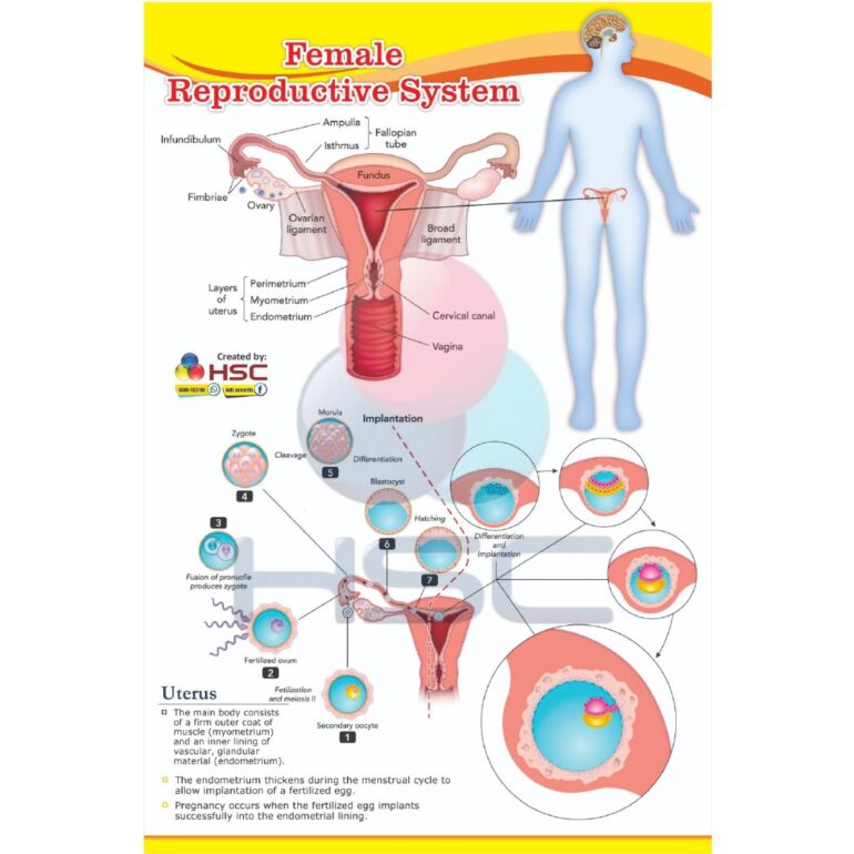 Science Lab charts (2)_page-0039