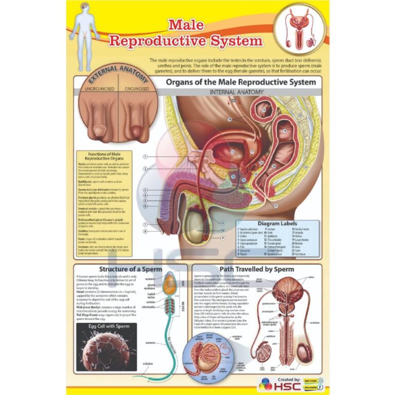 Science Lab charts (2)_page-0040