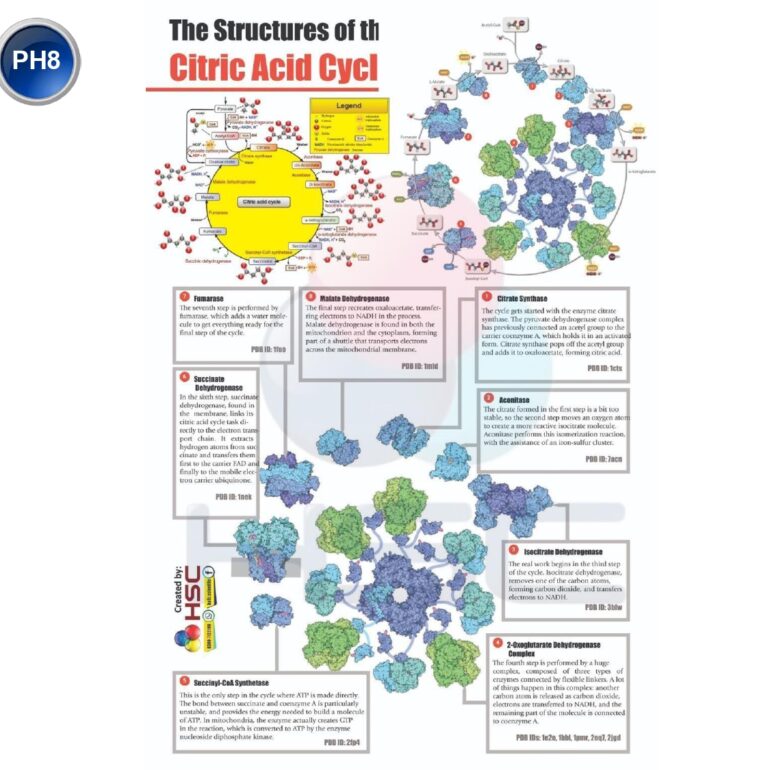 Science Lab charts (2)_page-0051