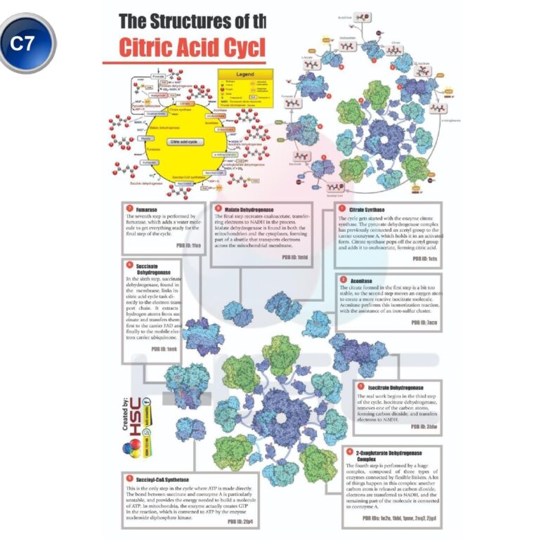 Science Lab charts (2)_page-0086