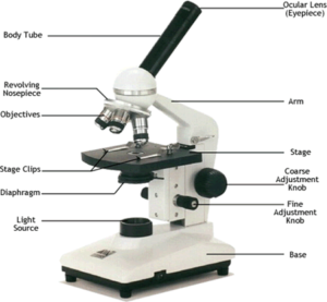 School Science laboratory Equipment list and uses